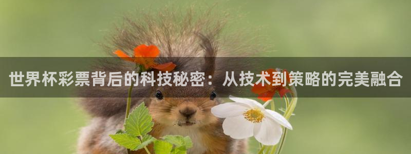 亚洲区世界杯预选赛:世界杯彩票背后的科技秘密:从技术到策略的完美融合