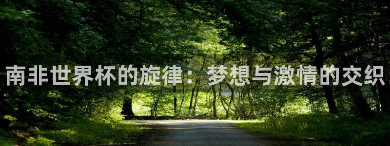 2006世界杯:南非世界杯的旋律:梦想与激情的交织