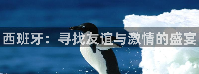 世界杯预赛赛程:西班牙:寻找友谊与激情的盛宴