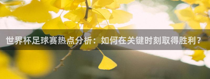 亚洲区世界杯预选赛:世界杯足球赛热点分析:如何在关键时刻取得胜利?