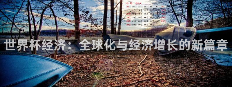 足球杯:世界杯经济:全球化与经济增长的新篇章