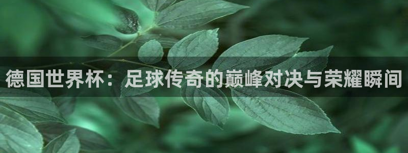 葡萄牙世界杯赛程:德国世界杯:足球传奇的巅峰对决与荣耀瞬间