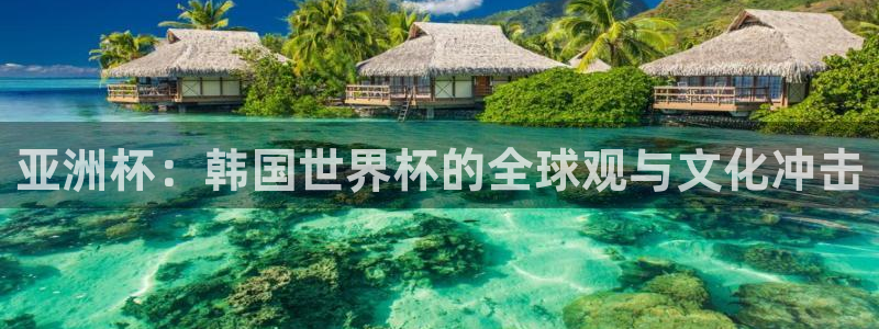 世界杯在线直播:亚洲杯:韩国世界杯的全球观与文化冲击
