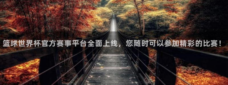 足球世界杯2026:篮球世界杯官方赛事平台全面上线,您随时可以参加精彩的比赛!