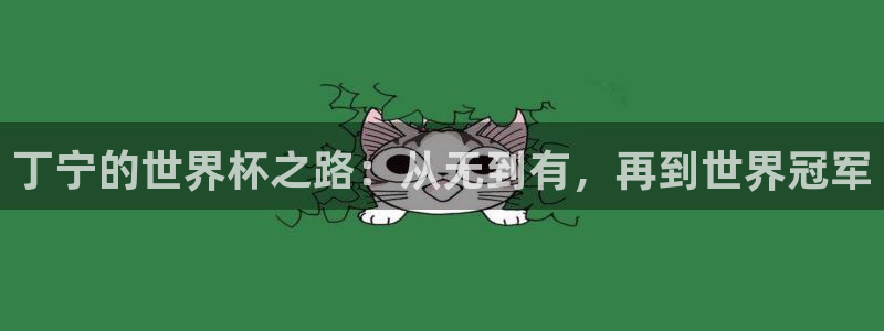 2026世界杯赛:丁宁的世界杯之路:从无到有,再到世界冠军