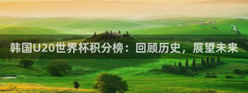 2026年世界杯对阵图:韩国U20世界杯积分榜:回顾历史,展望未来