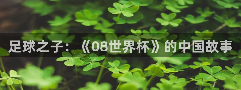 世界杯第一场比赛:足球之子:《08世界杯》的中国故事